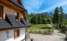 Biały Miś Apartamenty Art&Design